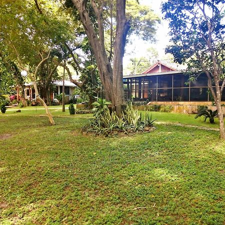 Xalli Beach Hotel Altagracia Bagian luar foto